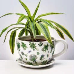 Pflanztasse Lavendelsträuße PLANT A CUP In Weiß 9 Pflanztasse Lavendelsträuße PLANT A CUP In Weiß -Möbel Store butlers pflanztasse lavendelstrausse plant a cup in weiss 3