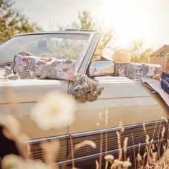 Picknickdecke L 175 X B 154cm BETWEEN FLOWERS In Creme 25 Picknickdecke L 175 X B 154cm BETWEEN FLOWERS In Creme -Möbel Store butlers picknickdecke l 175 x b 154cm between flowers in creme 11