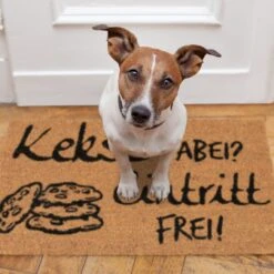 Fußmatte Kekse Dabei? Eintritt Frei! In Natur/Schwarz - 40 X 60 Cm 13 Fußmatte Kekse Dabei? Eintritt Frei! In Natur/Schwarz - 40 X 60 Cm -Möbel Store relaxdays fussmatte kekse dabei eintritt frei in natur schwarz 40 x 60 cm 4